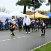 GMCorta (16)